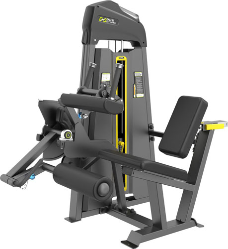 Seated Leg Curl E3023